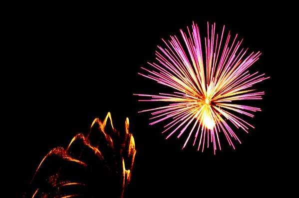 Firework Poster featuring the photograph Fireworks #6 by Donn Ingemie