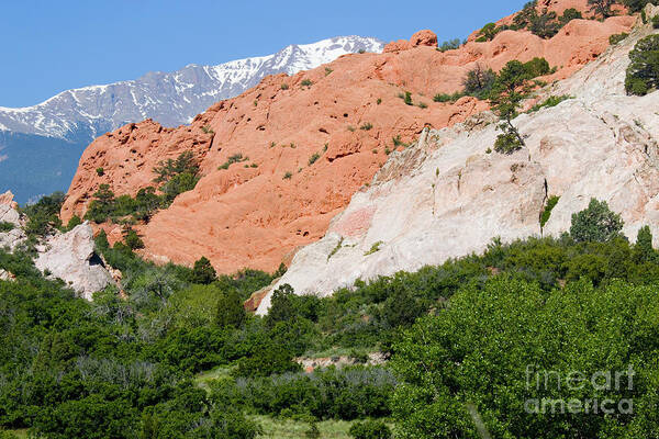 Pikes Peak Poster featuring the photograph Garden of the Gods and Pikes Peak #6 by Steven Krull