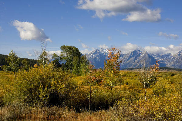 Autum Poster featuring the photograph Grand Tetons #6 by Mark Smith