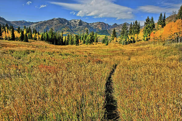 Autumn Poster featuring the photograph Rocky Mountain Fall #63 by Mark Smith