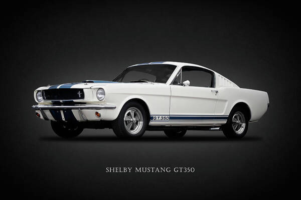 Gt350 1965 Poster featuring the photograph 65 Shelby GT350 by Mark Rogan