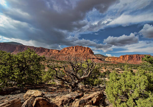 Capitol Reef National Park Poster featuring the photograph Capitol Reef National Park #724 by Mark Smith