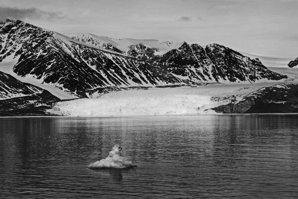 Arctic Poster featuring the photograph 79 Degrees North J by Terence Davis