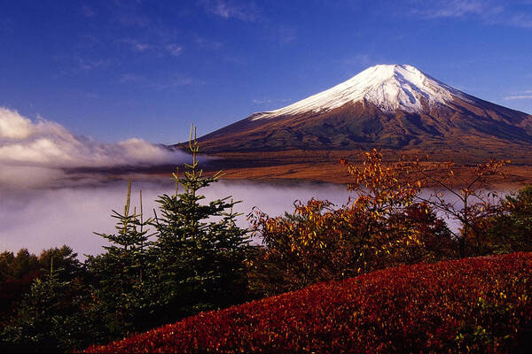 Japan Poster featuring the photograph Mount Fuji in Autumn #8 by Michele Burgess