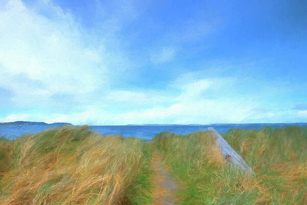 Greeting Card Poster featuring the photograph A Beach Path by Allan Van Gasbeck