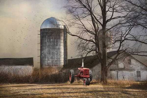 Farm Poster featuring the photograph A Day Off by Robin-Lee Vieira