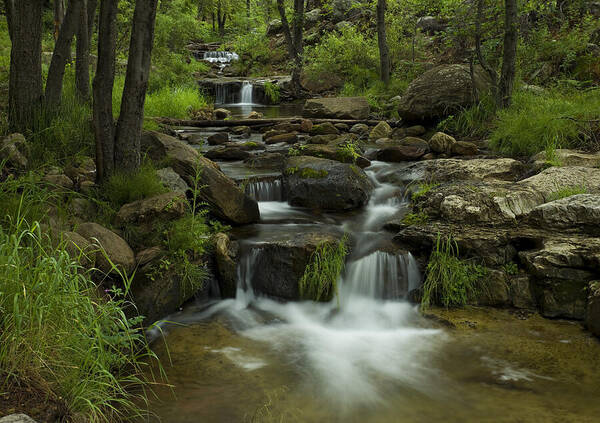 Creek Poster featuring the photograph A Peaceful Place by Sue Cullumber