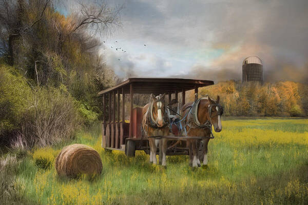 Farm Poster featuring the photograph A Golden Day by Robin-Lee Vieira