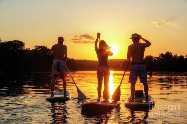 Stand Up Paddle Boarding (sup) Poster featuring the photograph A group of friends, silhouetted by the sunset, exercise on stand-up paddle boards on Lady Bird Lake in Austin, Texas by Dan Herron