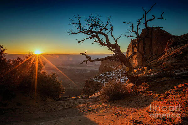 Moab Poster featuring the photograph A New Day Dawns by Kristal Kraft