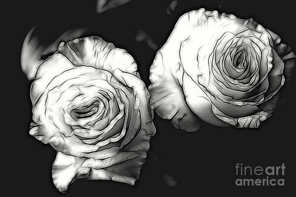 White Poster featuring the photograph A Perfect Pair BW by Diana Mary Sharpton