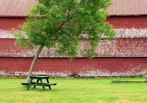 Picnic Poster featuring the photograph A picnic for you and me by Corinne Rhode