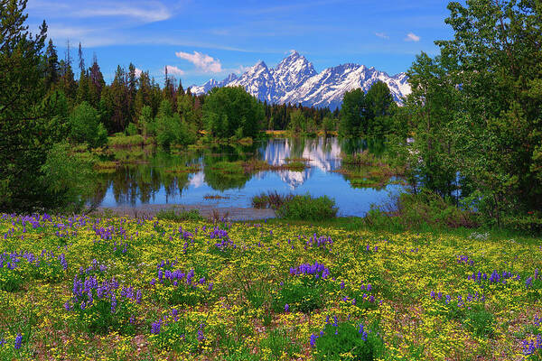 Grand Teton National Park Poster featuring the photograph A Slice of Heaven by Greg Norrell