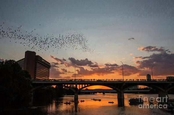 Bats Poster featuring the photograph A spectacular sunset finds 1.5 million bats soaring into the sky at sunset by Dan Herron