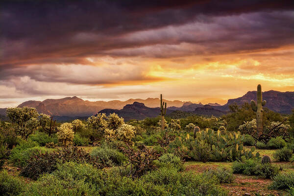 Sunrise Poster featuring the photograph A Spring Sunrise in the Sonoran by Saija Lehtonen
