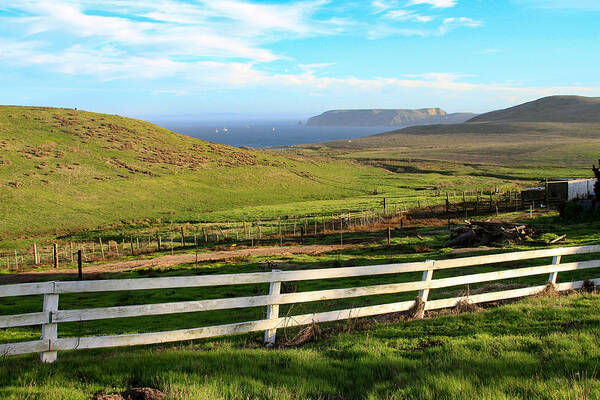 Point Reyes C Ranch Poster featuring the photograph A View from C Ranch to Drakes Estero Point Reyes by Bonnie Follett