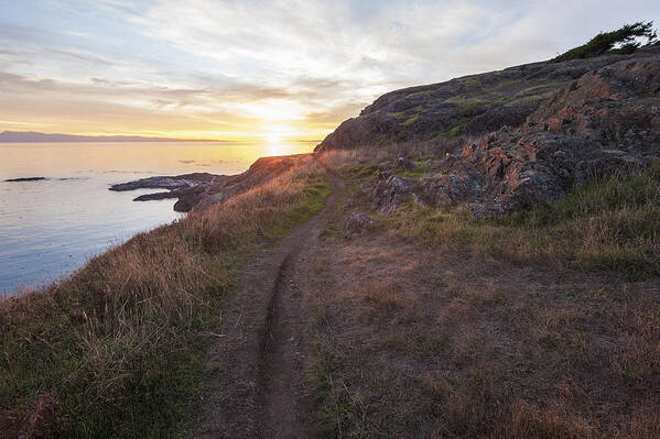 Sunset Poster featuring the photograph A Walk To Iceberg Point by Matt McDonald