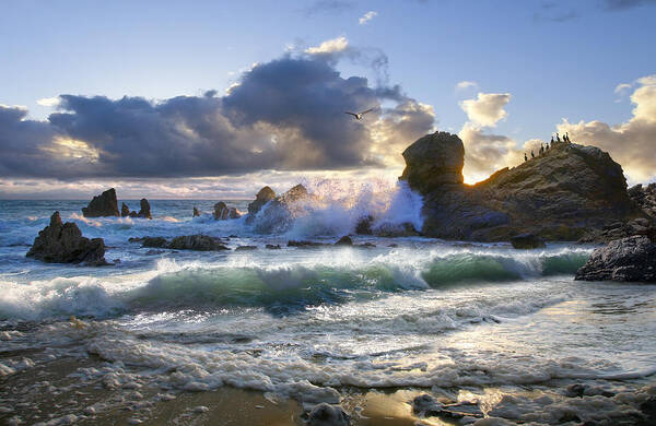 Ocean Poster featuring the photograph A Whisper In The Wind by Acropolis De Versailles