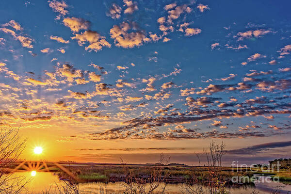 Sunrises Poster featuring the photograph A Wildlife Paradise Marvel Sunrise by DB Hayes