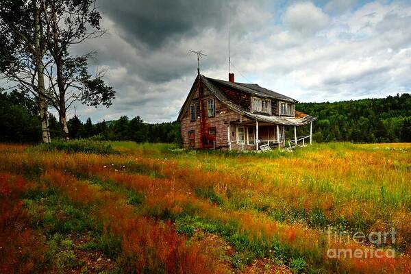 Farm House Poster featuring the photograph Abandon House by Steve Brown