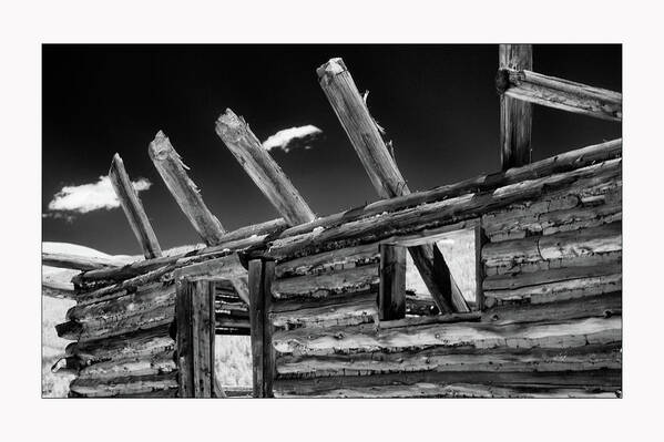 Log Cabin Poster featuring the photograph Abandon View by Brian Duram