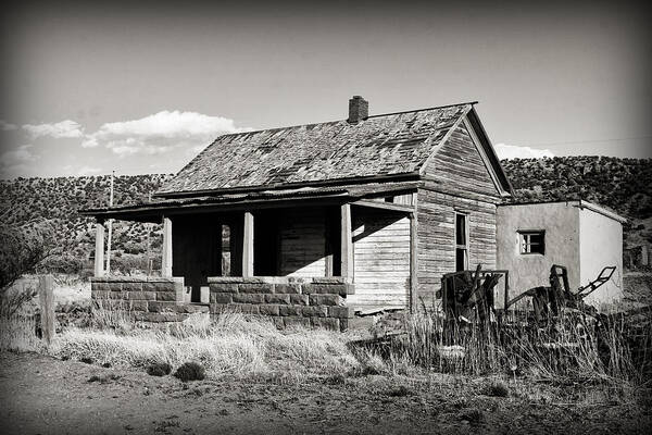 Georgia Artist Poster featuring the photograph Abandoned in Cuervo by Patricia Montgomery