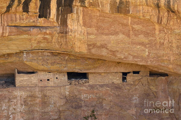 Mesa Verde National Park Poster featuring the photograph Abandoned by Bon and Jim Fillpot