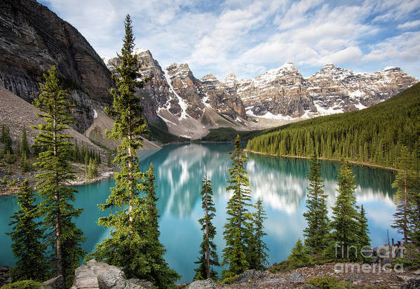 Valley Of Ten Peaks Poster featuring the photograph Above Lake Moraine by Art Cole