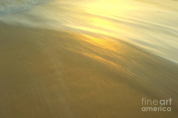 Beach Poster featuring the photograph Abstract Beach by Sven Brogren