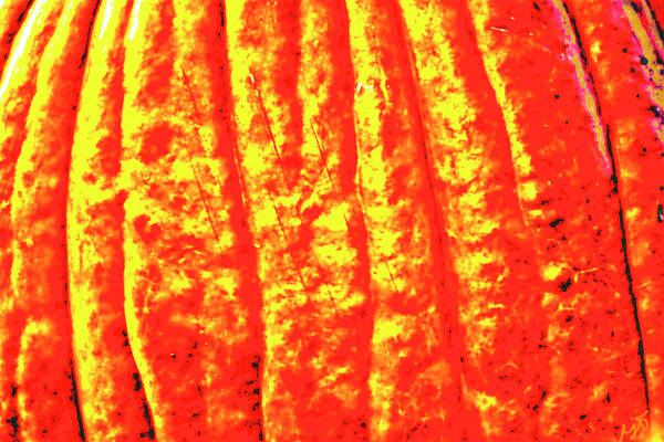 This Is An Abstract Fine Art Photograph Of Pumpkin Texture Shadows. The Photograph Was Taken In Rural Florida. Poster featuring the photograph Abstract Pumpkin Shadows by Gina O'Brien