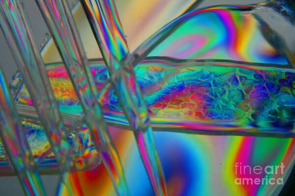 Abstract Poster featuring the photograph Abstraction in Color 2 by Crystal Nederman