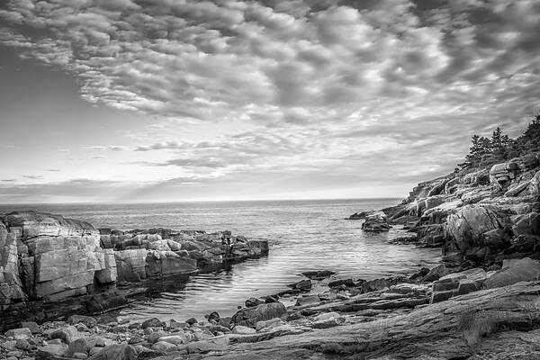 Black & White Poster featuring the photograph Acadia Coast by Brian Caldwell