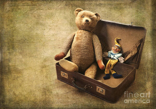 Photo Poster featuring the photograph Aged Toys by Jutta Maria Pusl