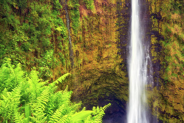 Waterfall Poster featuring the photograph Akaka Falls by Christopher Johnson