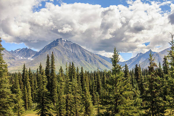 Alaska Poster featuring the photograph Alaska Mountains Under Cloudy Sky by Joni Eskridge