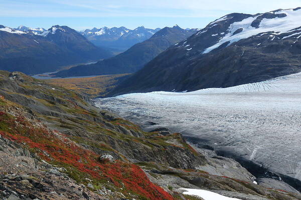 Exit Glacier Poster featuring the photograph Alaska's Exit Glacier by Steve Wolfe