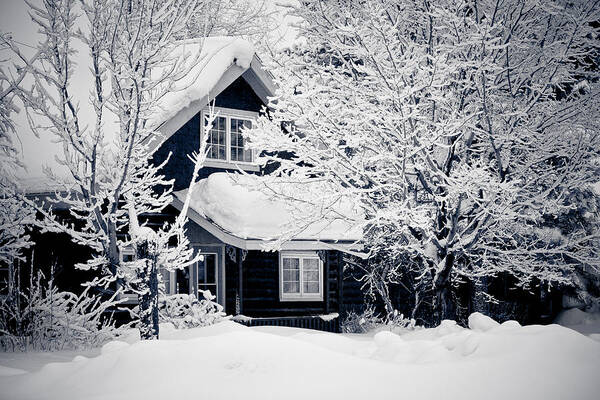 Cabin Poster featuring the photograph All Dressed Up by Maggie Terlecki