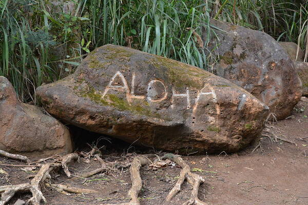 Rock Poster featuring the photograph Aloha by Carolyn Mickulas