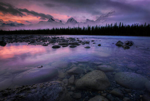 River Poster featuring the photograph Along The Athabasca by Dan Jurak