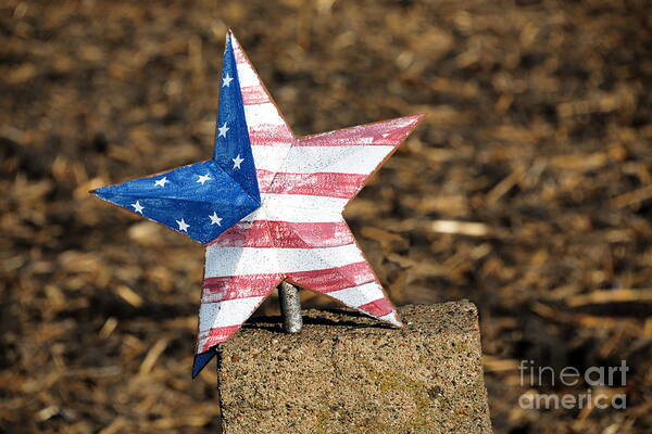 Us Usa Flag Star Stars Stripes Americana Folk Art Poster featuring the photograph American Star 7285 by Ken DePue
