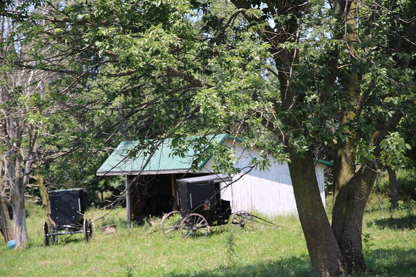 Amish Poster featuring the photograph Amish Barn and Buggy's by Rick Redman