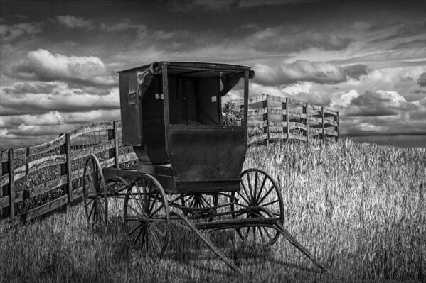 Amish Poster featuring the photograph Amish Horse Buggy in Black and White by Randall Nyhof