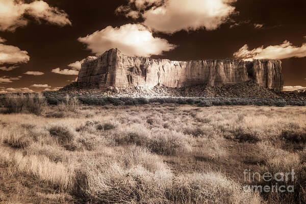 Among Sacred Mesas Poster featuring the digital art Among Sacred Mesas by William Fields