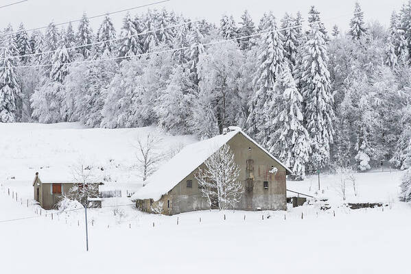 Snowy Landscape Poster featuring the photograph An old farmhouse in the snow by Paul MAURICE