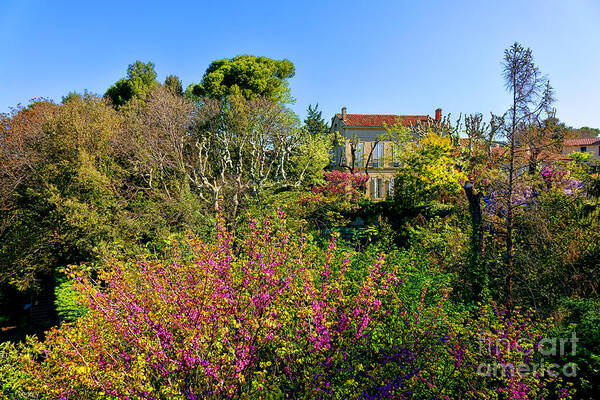Provence Poster featuring the photograph An Old House in Provence by Olivier Le Queinec
