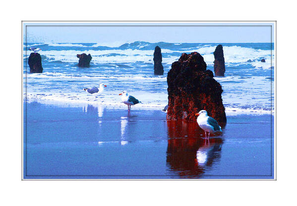 Ancient Trees Poster featuring the photograph Ancient Trees and Seagulls at Neskowin Beach by Margaret Hood