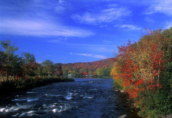 Androscoggin River Poster featuring the photograph Androscoggin River Headwaters by John Burk