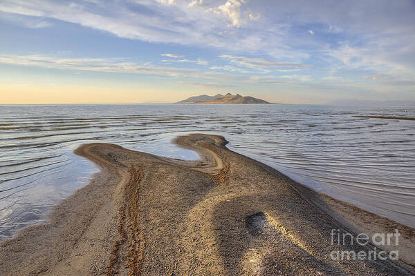 Antelope Poster featuring the photograph Antelope Island by Spencer Baugh