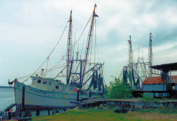 Seascapes Poster featuring the photograph Apalachicola Trawlers by Jan Amiss Photography