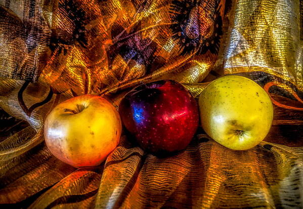 Apple Poster featuring the photograph Apples in Golden light by Lilia S